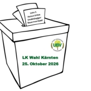 Wahlurne KTN